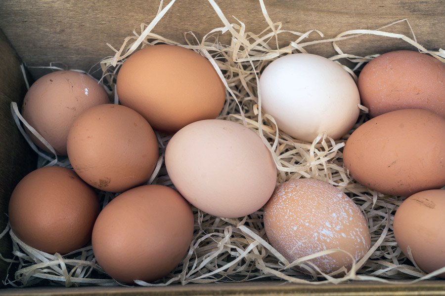 Eggs: Foods to Stop Hair Loss & Promote Growth And Thickness